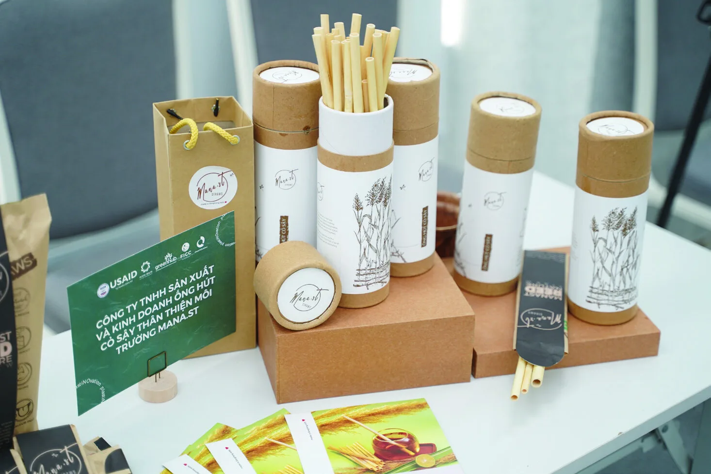 Giữa muôn vàn lựa chọn, chúng tôi chọn cây sậy quê hương