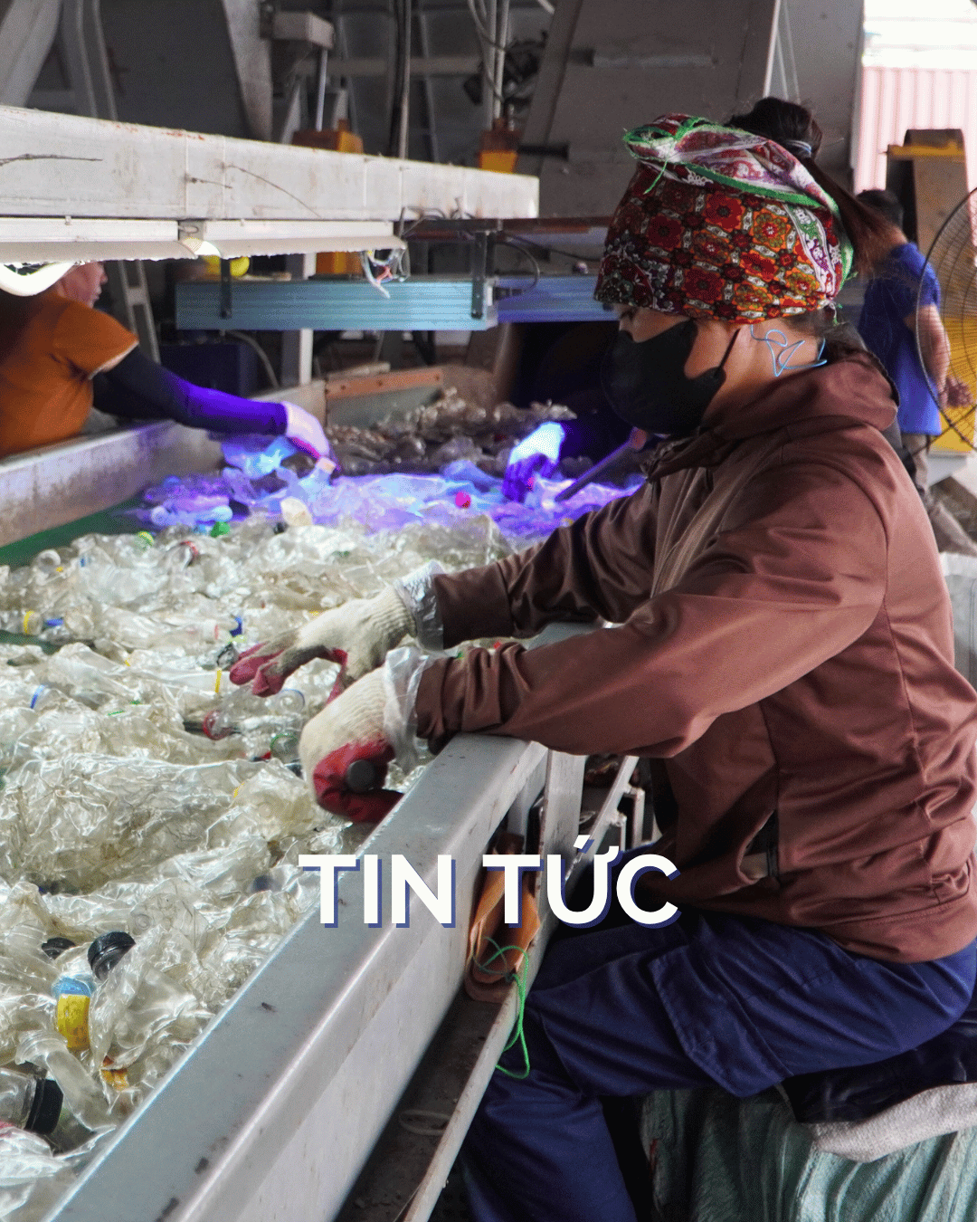 anh web – linh vuc